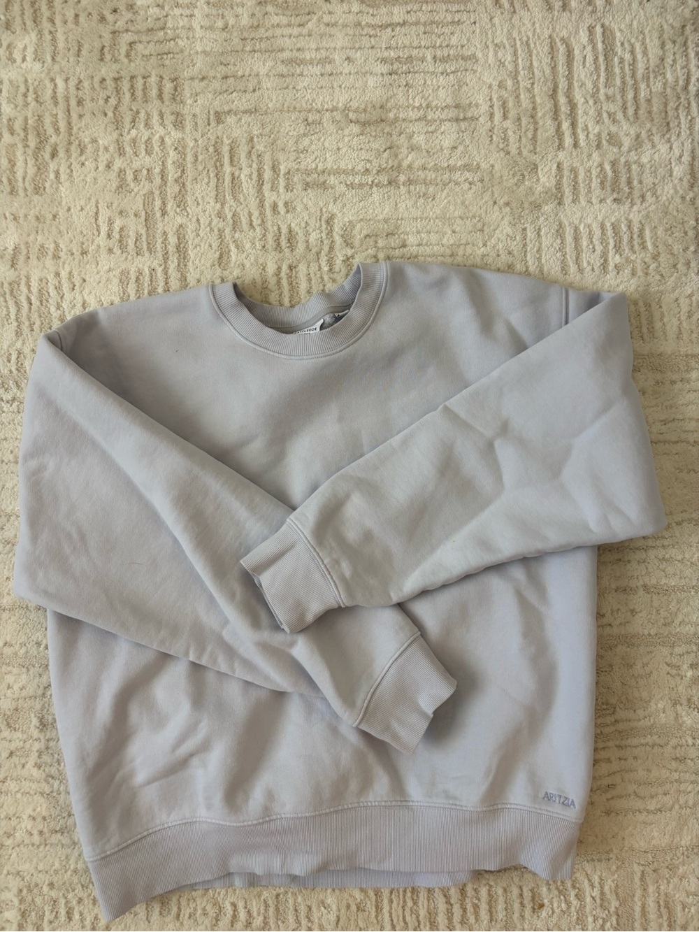 Aritzia Crewneck Sweatshirt in Light Blue